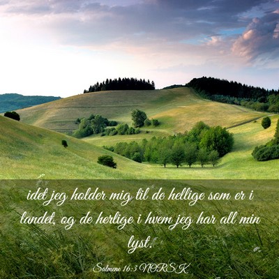 Picture 03 - Salmene 16:3 NORSK - idet jeg holder mig til de hellige som er i - Bible Verse Picture