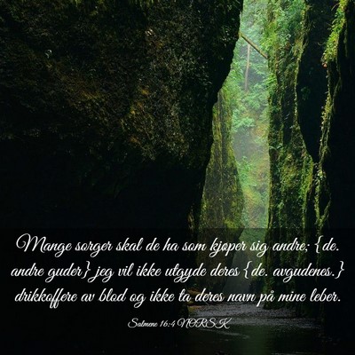 Picture 03 - Salmene 16:4 NORSK - Mange sorger skal de ha som kjøper sig andre; - Bible Verse Picture