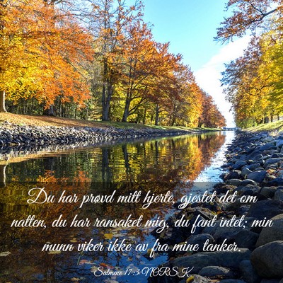 Picture 03 - Salmene 17:3 NORSK - Du har prøvd mitt hjerte, gjestet det om natten, - Bible Verse Picture