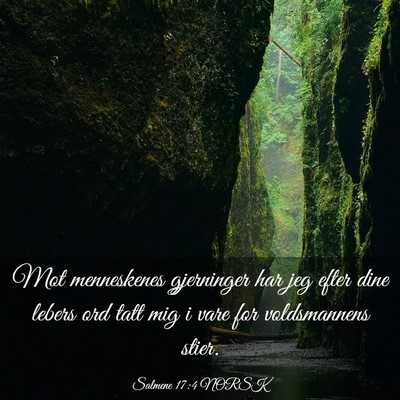 Picture 03 - Salmene 17:4 NORSK - Mot menneskenes gjerninger har jeg efter dine - Bible Verse Picture
