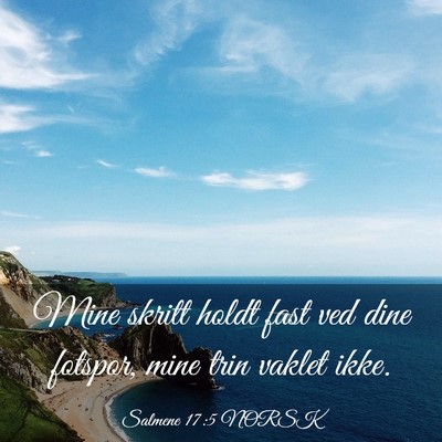 Picture 03 - Salmene 17:5 NORSK - Mine skritt holdt fast ved dine fotspor, mine - Bible Verse Picture