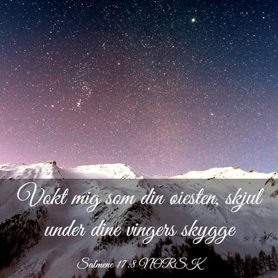 Picture 03 - Salmene 17:8 NORSK - Vokt mig som din øiesten, skjul under dine - Bible Verse Picture