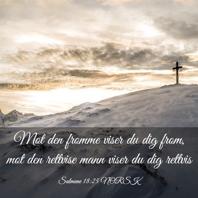 Picture 03 - Salmene 18:25 NORSK - Mot den fromme viser du dig from, mot den - Bible Verse Picture