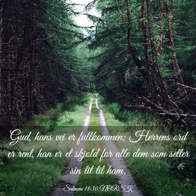 Picture 03 - Salmene 18:30 NORSK - Gud, hans vei er fullkommen; Herrens ord er rent, - Bible Verse Picture