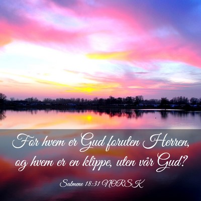 Picture 03 - Salmene 18:31 NORSK - For hvem er Gud foruten Herren, og hvem er en - Bible Verse Picture