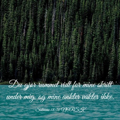 Picture 03 - Salmene 18:36 NORSK - Du gjør rummet vidt for mine skritt under mig, - Bible Verse Picture