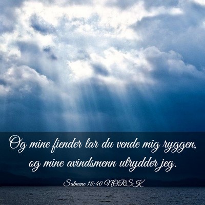 Picture 03 - Salmene 18:40 NORSK - Og mine fiender lar du vende mig ryggen, og mine - Bible Verse Picture