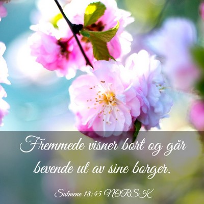 Picture 03 - Salmene 18:45 NORSK - Fremmede visner bort og går bevende ut av sine - Bible Verse Picture