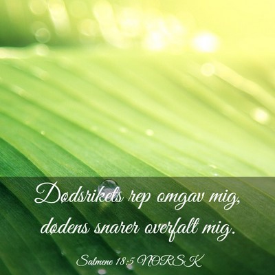 Picture 03 - Salmene 18:5 NORSK - Dødsrikets rep omgav mig, dødens snarer - Bible Verse Picture