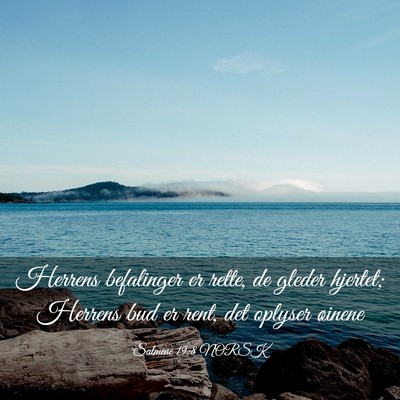 Picture 03 - Salmene 19:8 NORSK - Herrens befalinger er rette, de gleder hjertet; - Bible Verse Picture
