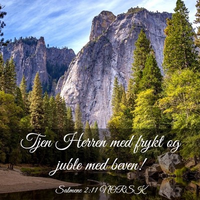 Picture 03 - Salmene 2:11 NORSK - Tjen Herren med frykt og juble med - Bible Verse Picture