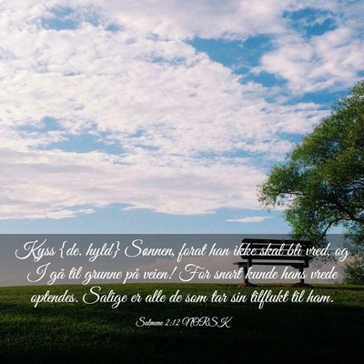 Picture 03 - Salmene 2:12 NORSK - Kyss {de. hyld} Sønnen, forat han ikke skal bli - Bible Verse Picture