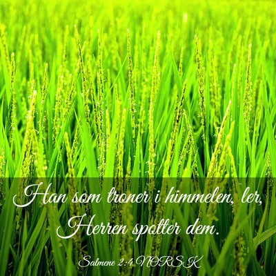 Picture 03 - Salmene 2:4 NORSK - Han som troner i himmelen, ler, Herren spotter - Bible Verse Picture
