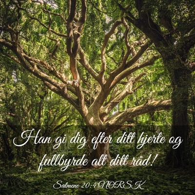 Picture 03 - Salmene 20:4 NORSK - Han gi dig efter ditt hjerte og fullbyrde alt - Bible Verse Picture