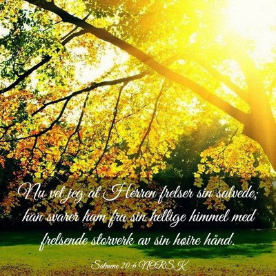 Picture 03 - Salmene 20:6 NORSK - Nu vet jeg at Herren frelser sin salvede; han - Bible Verse Picture