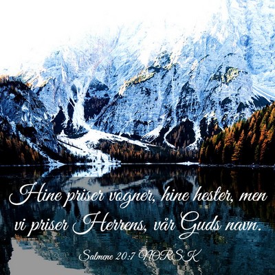 Picture 03 - Salmene 20:7 NORSK - Hine priser vogner, hine hester, men vi priser - Bible Verse Picture