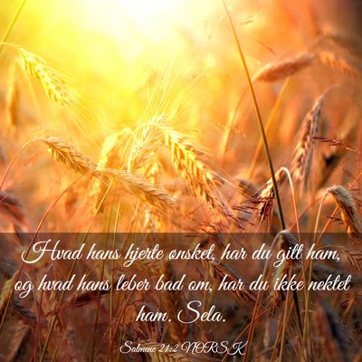 Picture 03 - Salmene 21:2 NORSK - Hvad hans hjerte ønsket, har du gitt ham, og - Bible Verse Picture