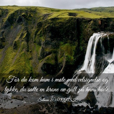 Picture 03 - Salmene 21:3 NORSK - For du kom ham i møte med velsignelse og lykke, - Bible Verse Picture