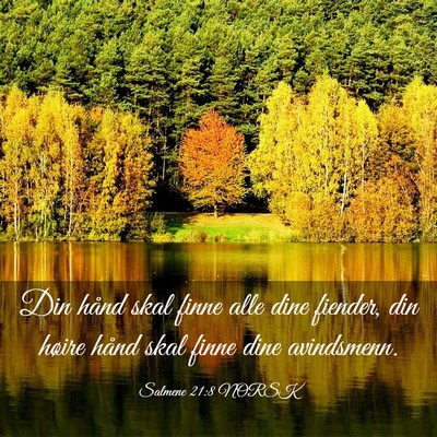 Picture 03 - Salmene 21:8 NORSK - Din hånd skal finne alle dine fiender, din - Bible Verse Picture