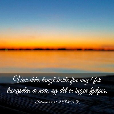 Picture 03 - Salmene 22:11 NORSK - Vær ikke langt borte fra mig! for trengselen er - Bible Verse Picture