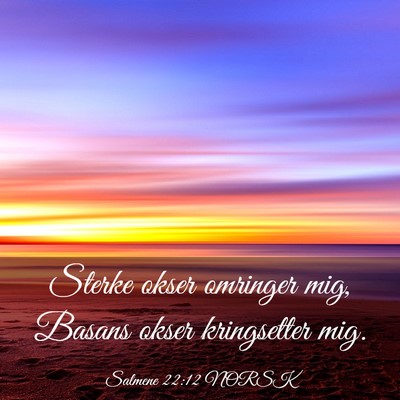 Picture 03 - Salmene 22:12 NORSK - Sterke okser omringer mig, Basans okser - Bible Verse Picture