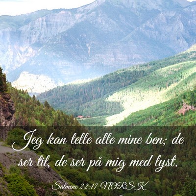 Picture 03 - Salmene 22:17 NORSK - Jeg kan telle alle mine ben; de ser til, de ser - Bible Verse Picture