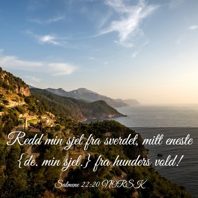 Picture 03 - Salmene 22:20 NORSK - Redd min sjel fra sverdet, mitt eneste {de. min - Bible Verse Picture