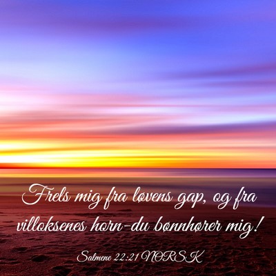 Picture 03 - Salmene 22:21 NORSK - Frels mig fra løvens gap, og fra villoksenes - Bible Verse Picture