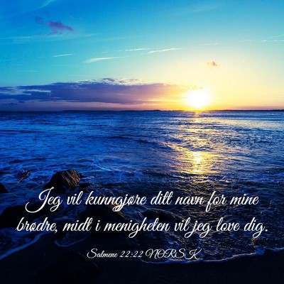 Picture 03 - Salmene 22:22 NORSK - Jeg vil kunngjøre ditt navn for mine brødre, - Bible Verse Picture