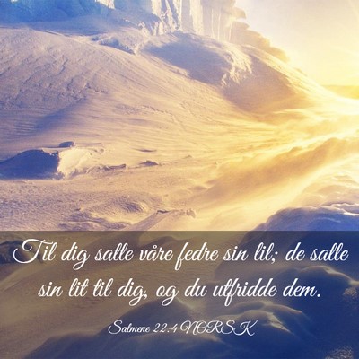 Picture 03 - Salmene 22:4 NORSK - Til dig satte våre fedre sin lit; de satte sin - Bible Verse Picture