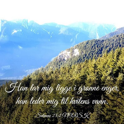 Picture 03 - Salmene 23:2 NORSK - Han lar mig ligge i grønne enger, han leder mig - Bible Verse Picture
