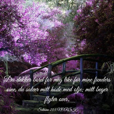 Picture 03 - Salmene 23:5 NORSK - Du dekker bord for mig like for mine fienders - Bible Verse Picture