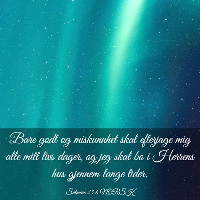 Picture 03 - Salmene 23:6 NORSK - Bare godt og miskunnhet skal efterjage mig alle - Bible Verse Picture