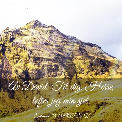 Picture 03 - Salmene 25:1 NORSK - Av David. Til dig, Herre, løfter jeg min - Bible Verse Picture