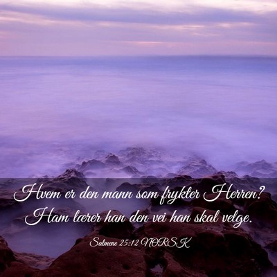 Picture 03 - Salmene 25:12 NORSK - Hvem er den mann som frykter Herren? Ham lærer - Bible Verse Picture