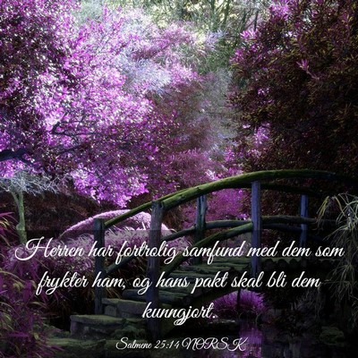 Picture 03 - Salmene 25:14 NORSK - Herren har fortrolig samfund med dem som frykter - Bible Verse Picture