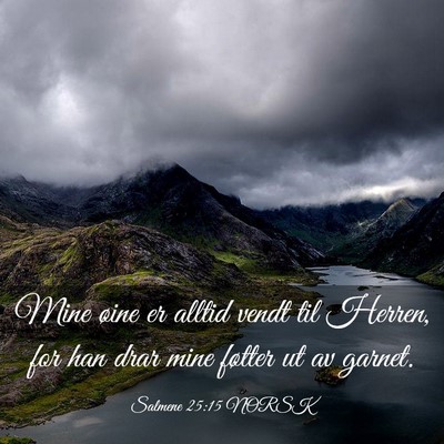 Picture 03 - Salmene 25:15 NORSK - Mine øine er alltid vendt til Herren, for han - Bible Verse Picture
