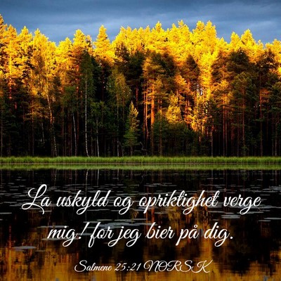 Picture 03 - Salmene 25:21 NORSK - La uskyld og opriktighet verge mig! for jeg bier - Bible Verse Picture