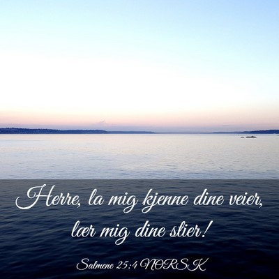 Picture 03 - Salmene 25:4 NORSK - Herre, la mig kjenne dine veier, lær mig dine - Bible Verse Picture