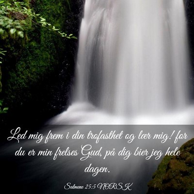 Picture 03 - Salmene 25:5 NORSK - Led mig frem i din trofasthet og lær mig! for du - Bible Verse Picture