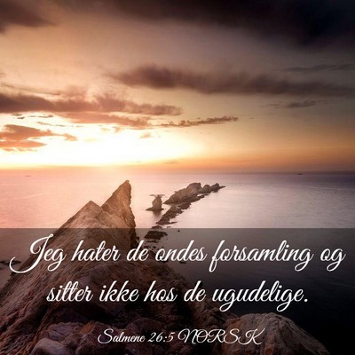 Picture 03 - Salmene 26:5 NORSK - Jeg hater de ondes forsamling og sitter ikke hos - Bible Verse Picture