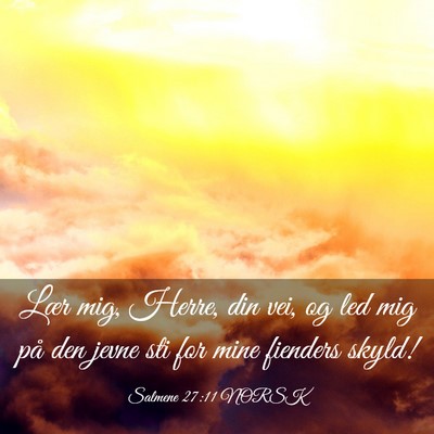 Picture 03 - Salmene 27:11 NORSK - Lær mig, Herre, din vei, og led mig på den - Bible Verse Picture