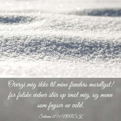 Picture 03 - Salmene 27:12 NORSK - Overgi mig ikke til mine fienders mordlyst! for - Bible Verse Picture