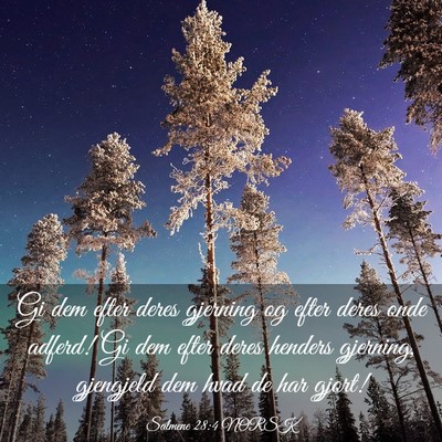 Picture 03 - Salmene 28:4 NORSK - Gi dem efter deres gjerning og efter deres onde - Bible Verse Picture