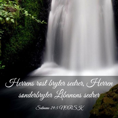 Picture 03 - Salmene 29:5 NORSK - Herrens røst bryter sedrer, Herren sønderbryter - Bible Verse Picture