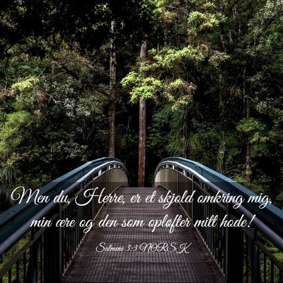 Picture 03 - Salmene 3:3 NORSK - Men du, Herre, er et skjold omkring mig, min ære - Bible Verse Picture