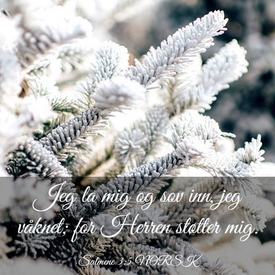 Picture 03 - Salmene 3:5 NORSK - Jeg la mig og sov inn, jeg våknet; for Herren - Bible Verse Picture