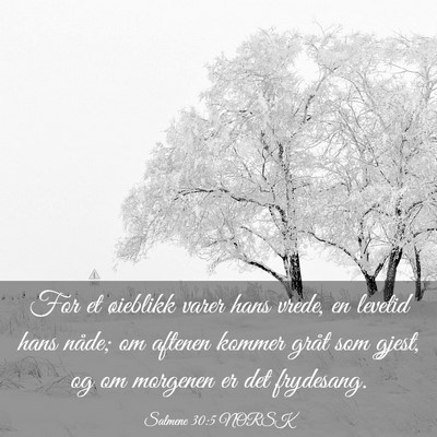 Picture 03 - Salmene 30:5 NORSK - For et øieblikk varer hans vrede, en levetid - Bible Verse Picture