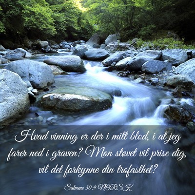 Picture 03 - Salmene 30:9 NORSK - Hvad vinning er der i mitt blod, i at jeg farer - Bible Verse Picture