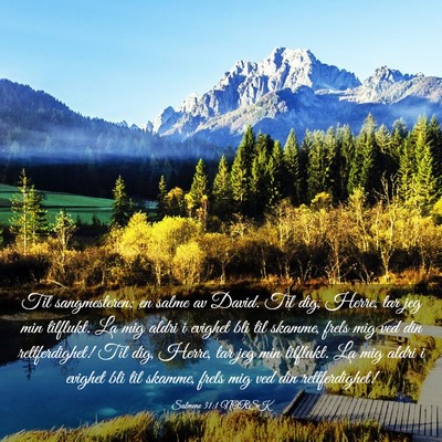 Picture 03 - Salmene 31:1 NORSK - Til sangmesteren; en salme av David. Til dig, - Bible Verse Picture
